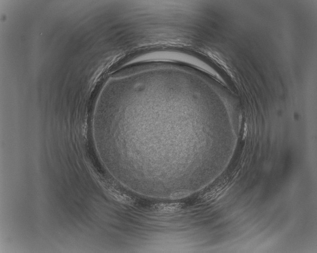 X0000069790495200605221118