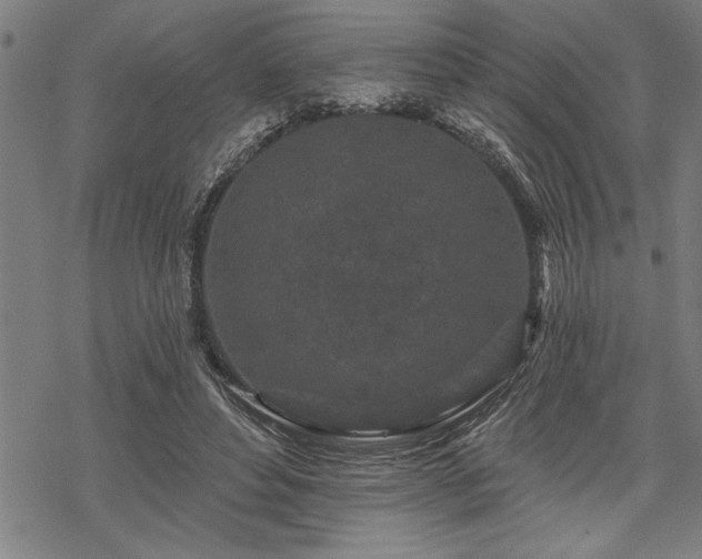 X0000069790496200605221118