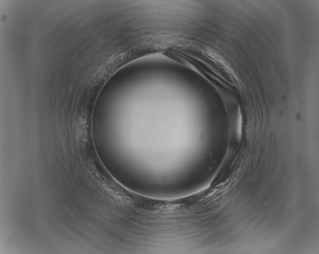 X0000069790497200605221118