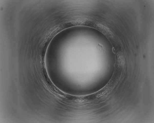 X0000069790498200605221118