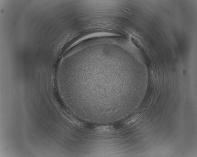 X0000069790499200605221118