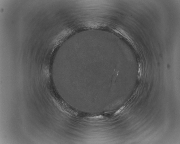 X0000069790500200605221118