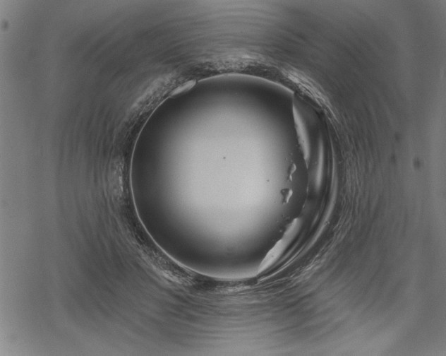 X0000069790501200605221118