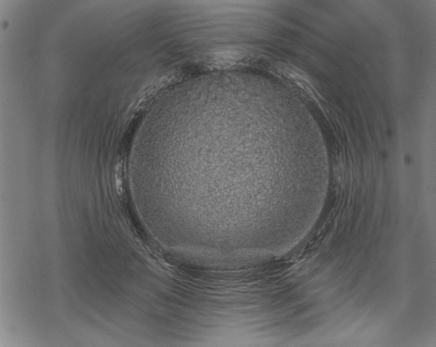 X0000069790503200605221118