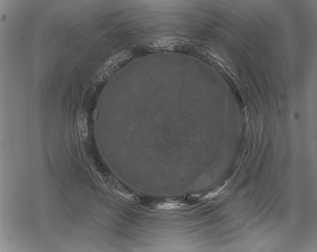 X0000069790504200605221118