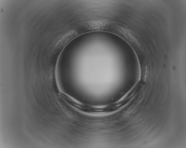 X0000069790505200605221118