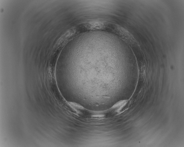 X0000069790506200605221118