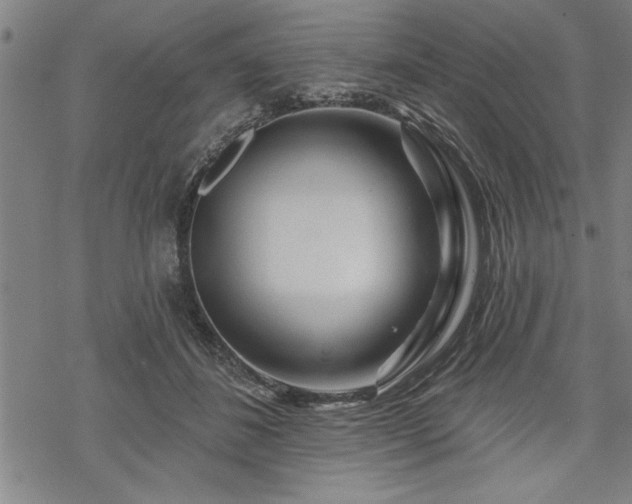 X0000069790508200605221118