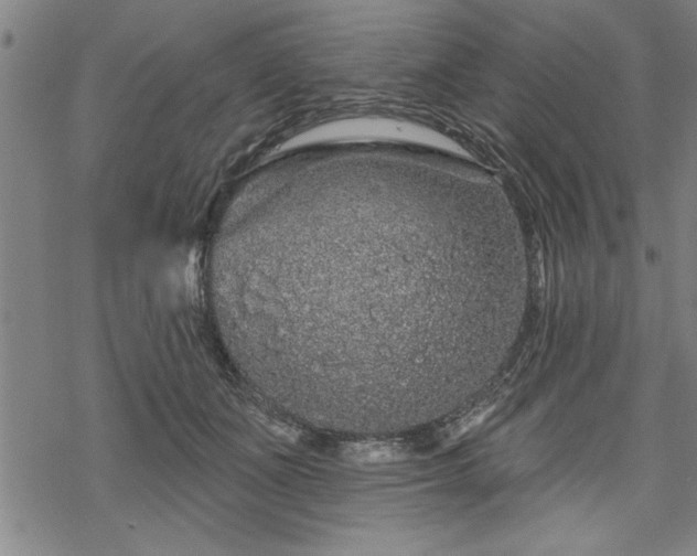 X0000069790511200605221118