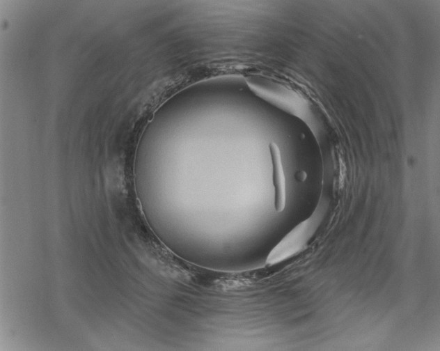 X0000069790512200605221118