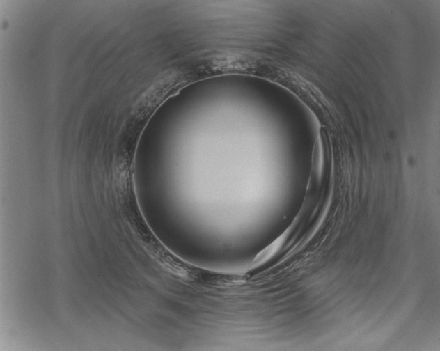 X0000069790513200605221118