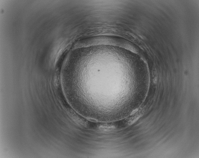 X0000069790515200605221118