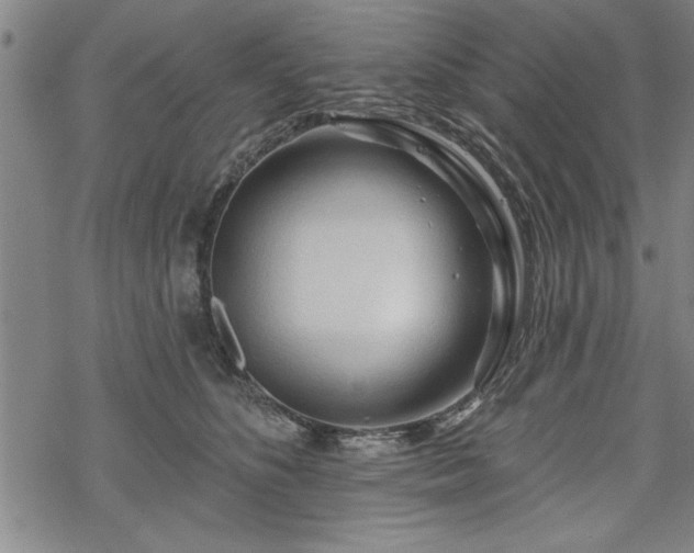 X0000069790516200605221118