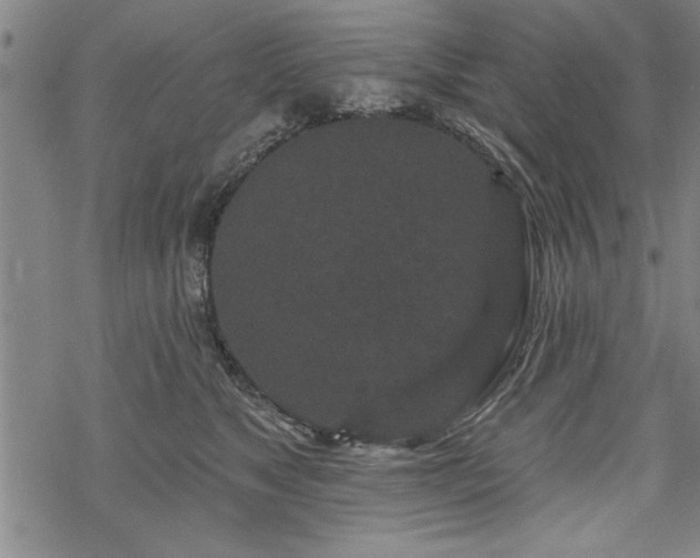 X0000069790517200605221118