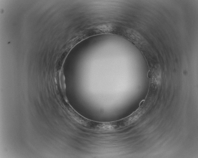 X0000069790518200605221118