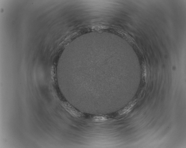 X0000069790519200605221118