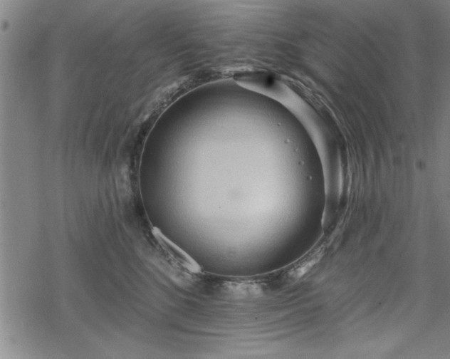 X0000069790520200605221118