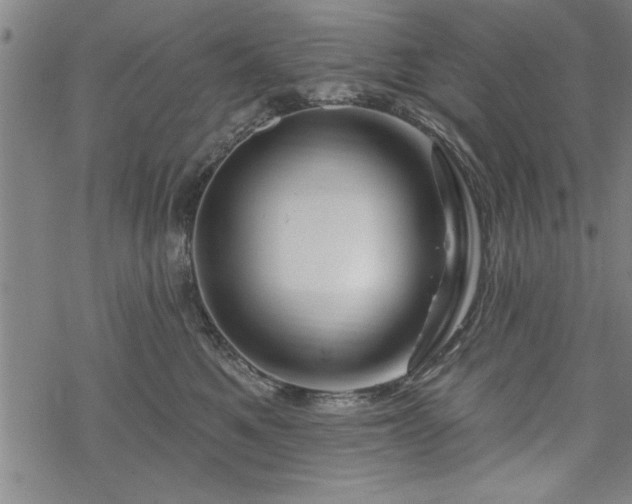 X0000069790521200605221118