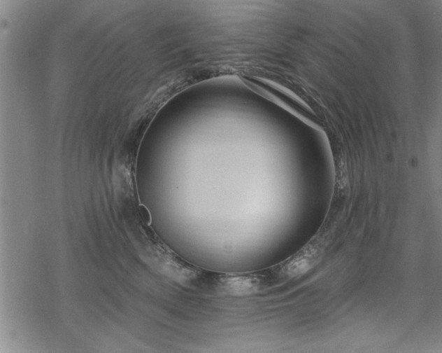 X0000069790522200605221118