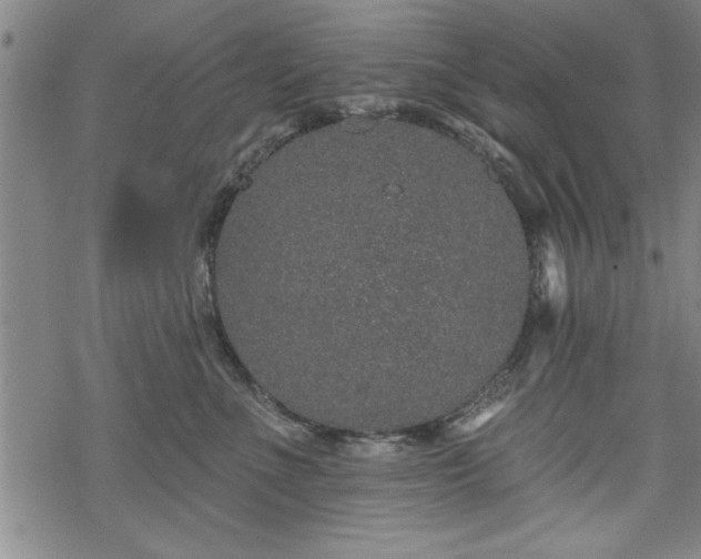 X0000069790523200605221118