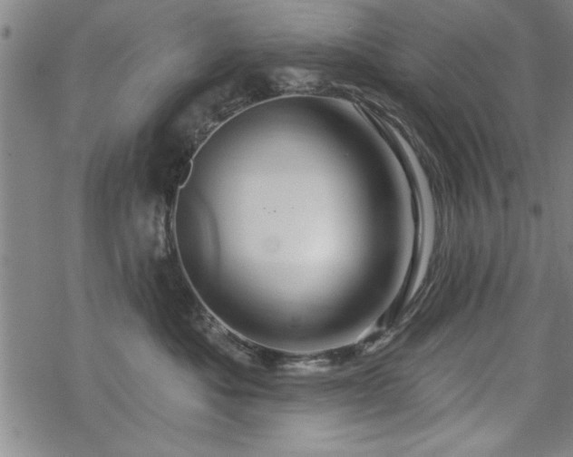 X0000069790525200605221118