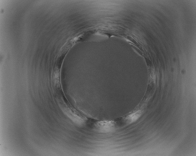 X0000069790526200605221117