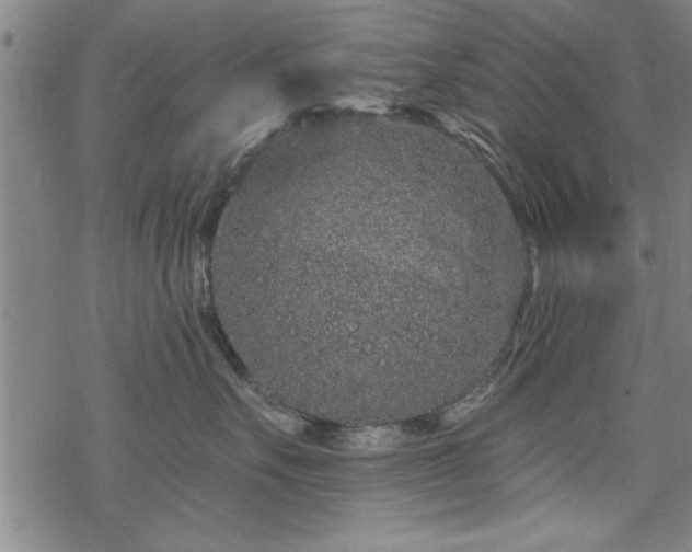 X0000069790527200605221117