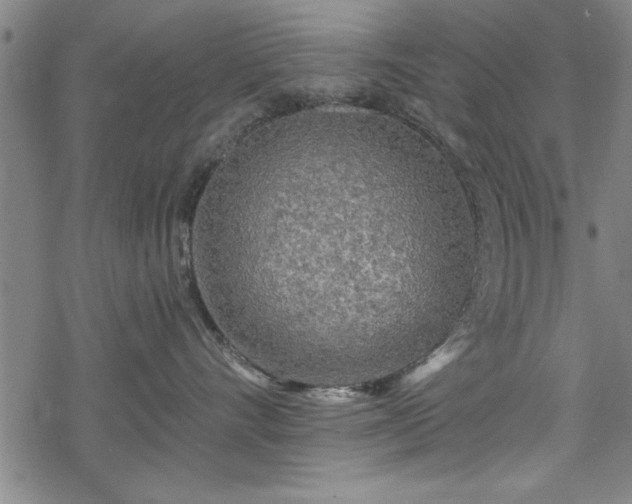 X0000069790528200605221117