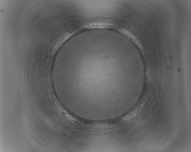 X0000069790529200605221117