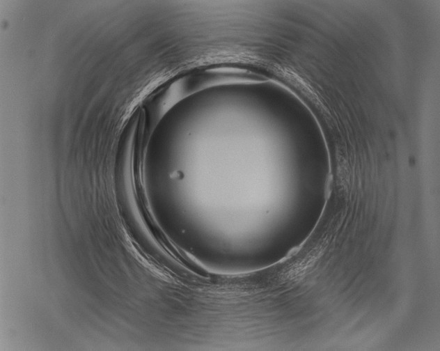 X0000069790530200605221117