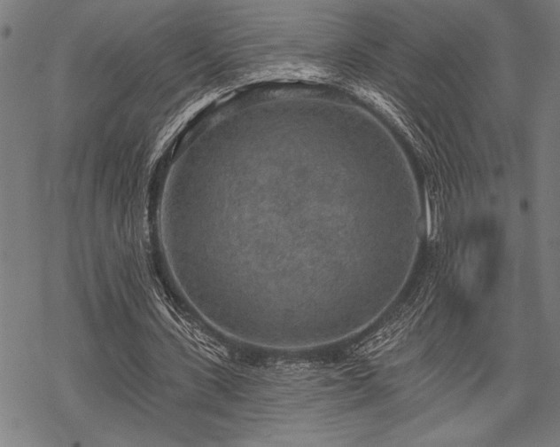 X0000069790531200605221117