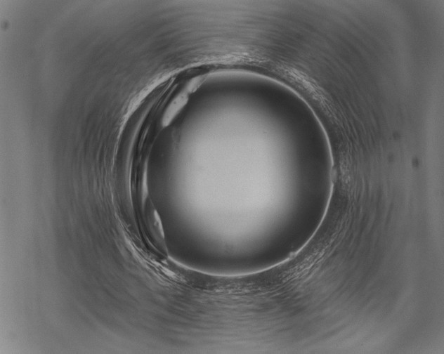 X0000069790532200605221117