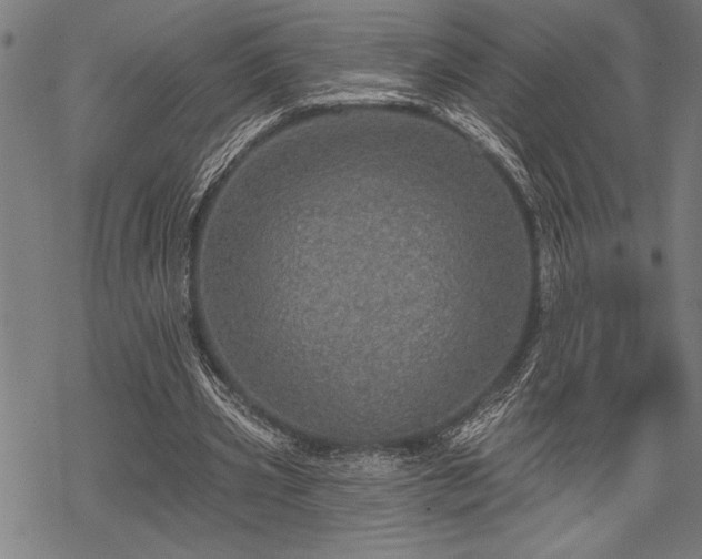 X0000069790533200605221117