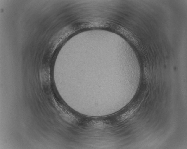 X0000069790534200605221117