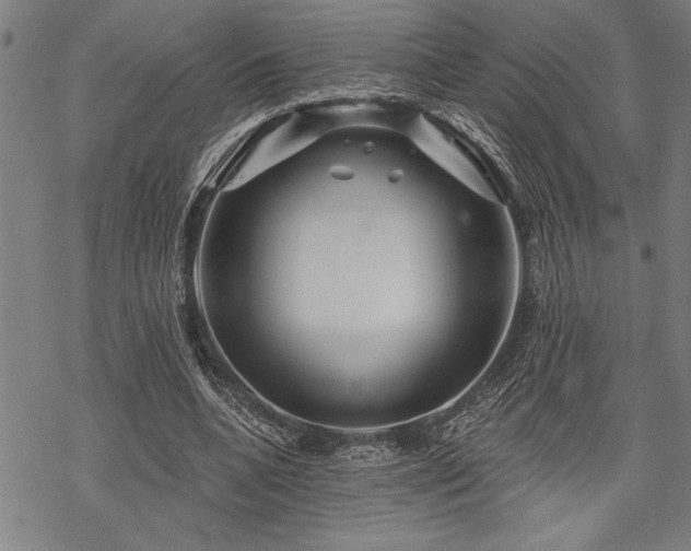 X0000069790536200605221117