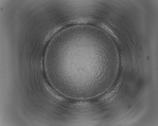 X0000069790537200605221117