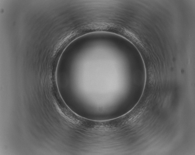 X0000069790538200605221117