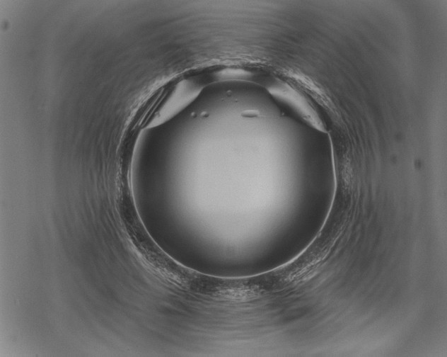 X0000069790540200605221117