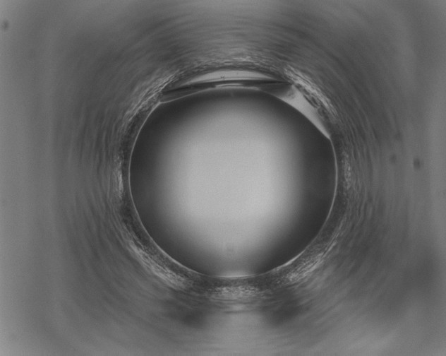 X0000069790541200605221117