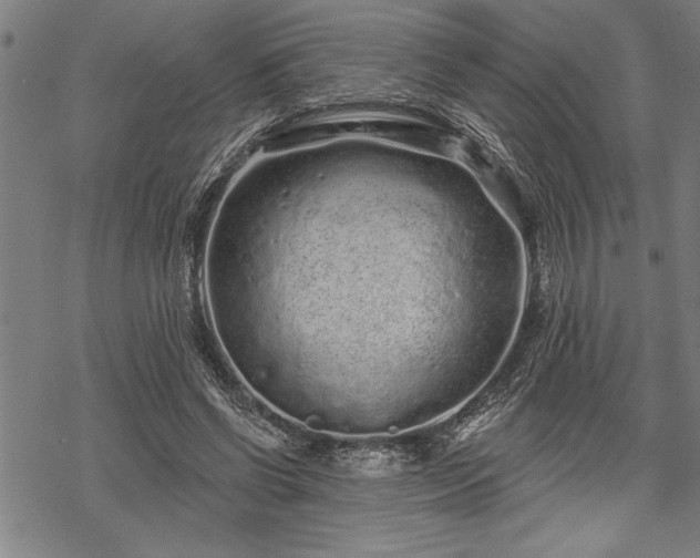 X0000069790542200605221117