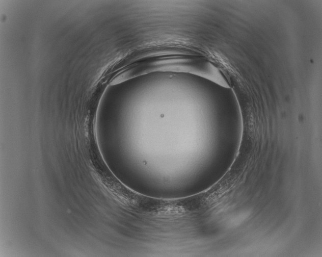 X0000069790543200605221117