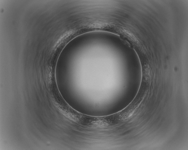 X0000069790544200605221117