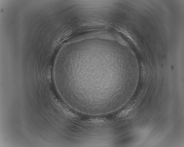 X0000069790545200605221117