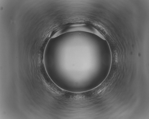 X0000069790546200605221117