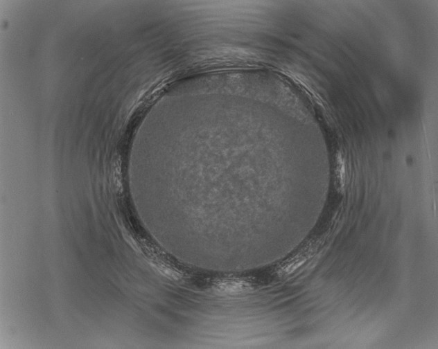 X0000069790547200605221117