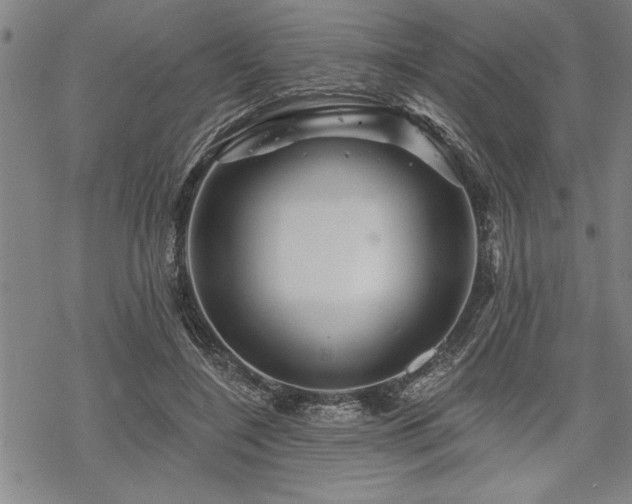 X0000069790548200605221117