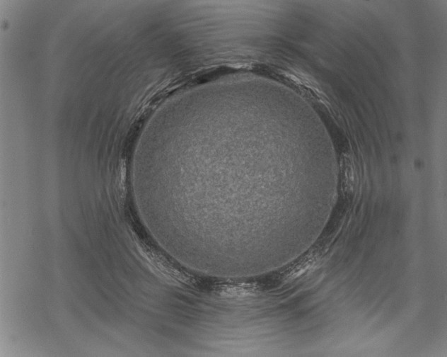 X0000069790550200605221117