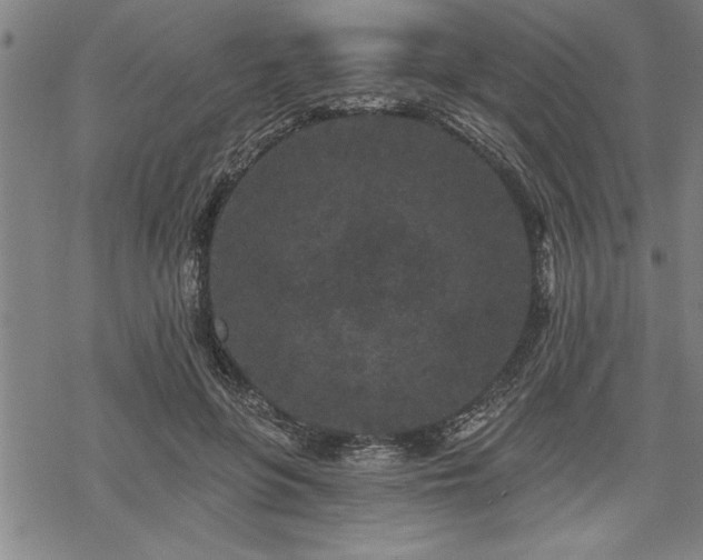 X0000069790551200605221117