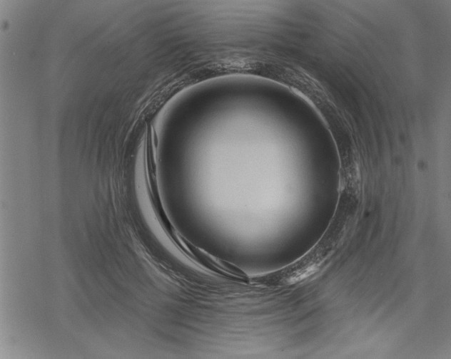 X0000069790552200605221117