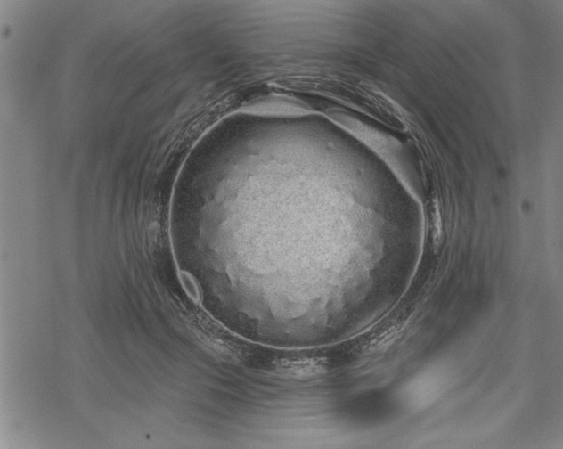 X0000069790553200605221117